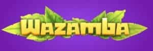 Mayan Mystery
